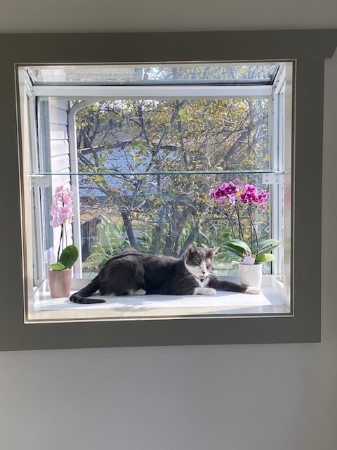 Glass Shelve for the Janco Garden Window