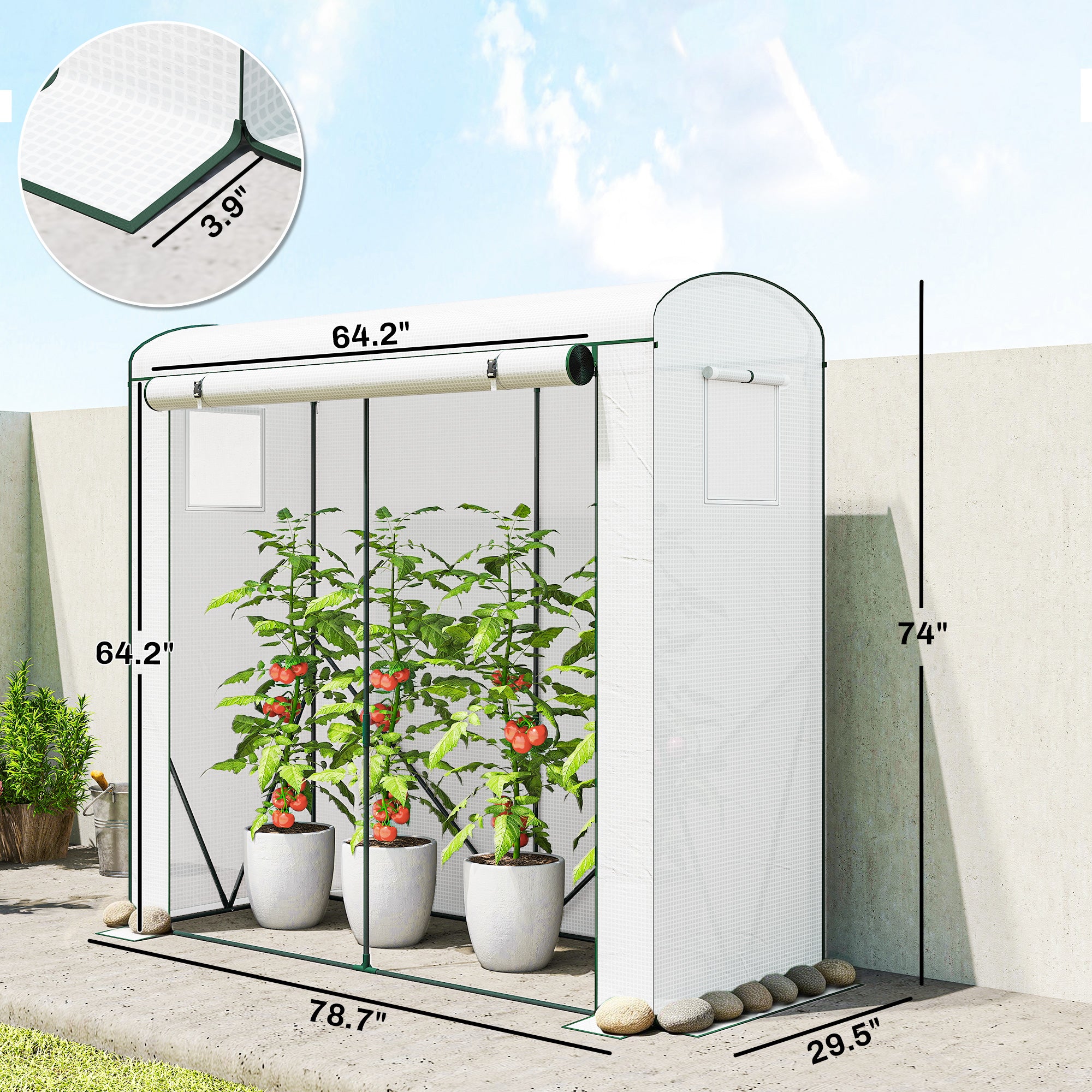 Mini Greenhouse, Portable Greenhouse with Roll-Up Door and 2 Mesh Windows, PE Cover, 78.7" x 29.5" x 74"
