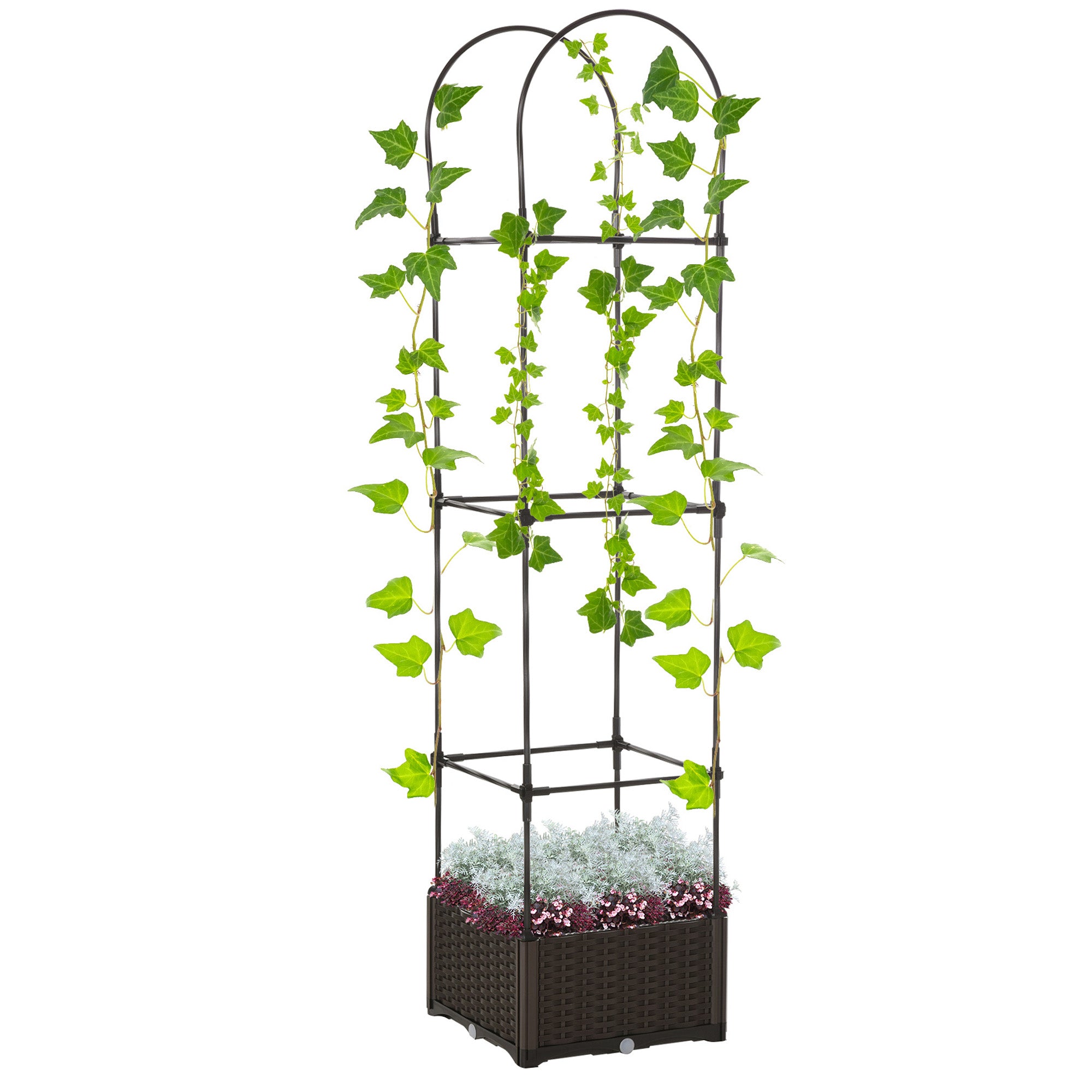 6' Raised Garden Bed Planter with Trellis, Self-Watering Disk, Drainage Holes & Steel Frame for Climbing Plants