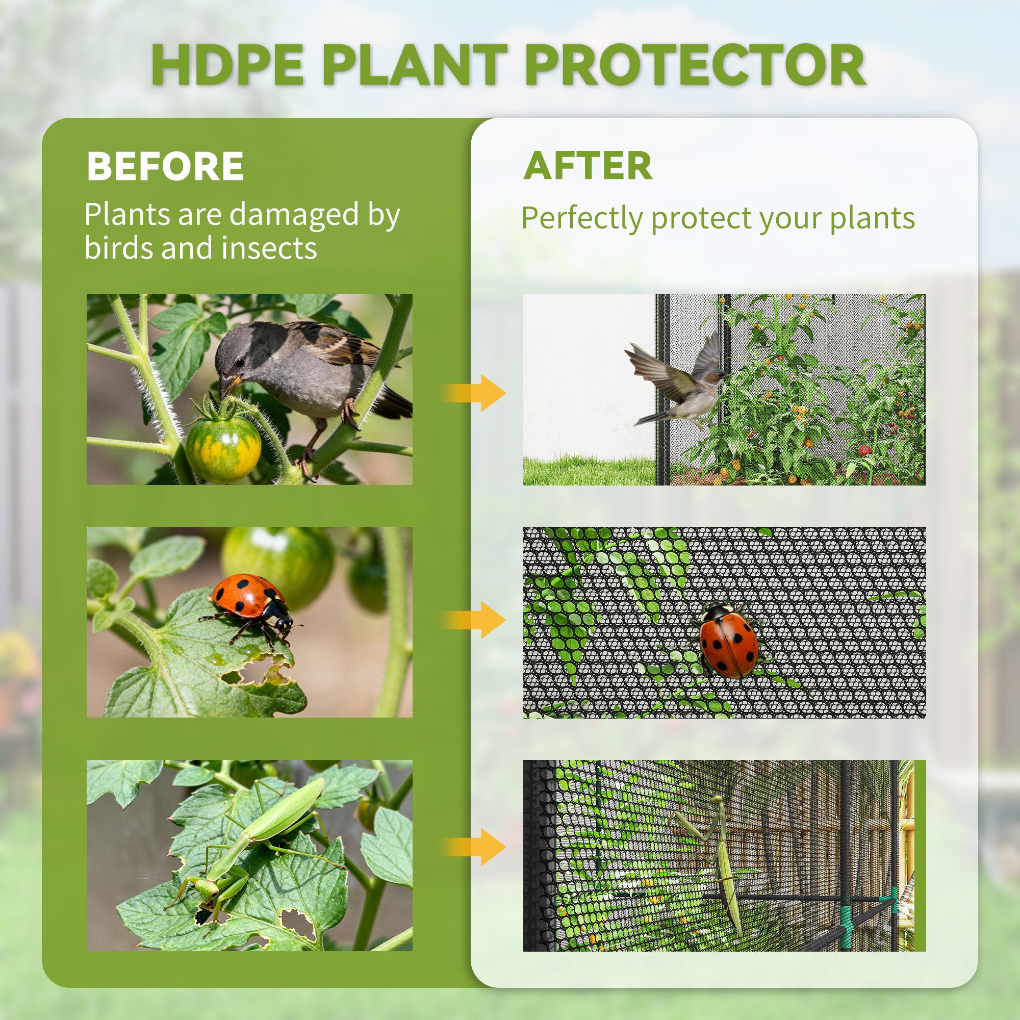Crop Cage, 6' x 3' x 5' Large Plant Protection Tent with Zippered Door, Outdoor Garden Cage