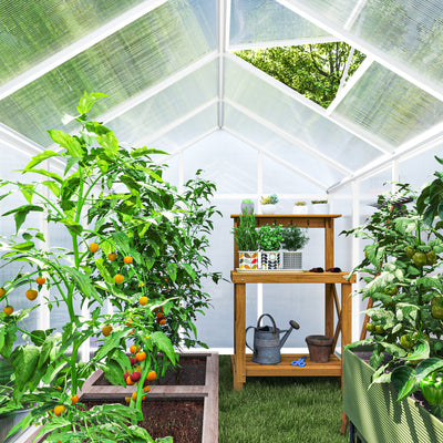 10' L x 6' W Walk-In Polycarbonate Greenhouse with Roof Vent for Ventilation & Rain Gutter for Winter
