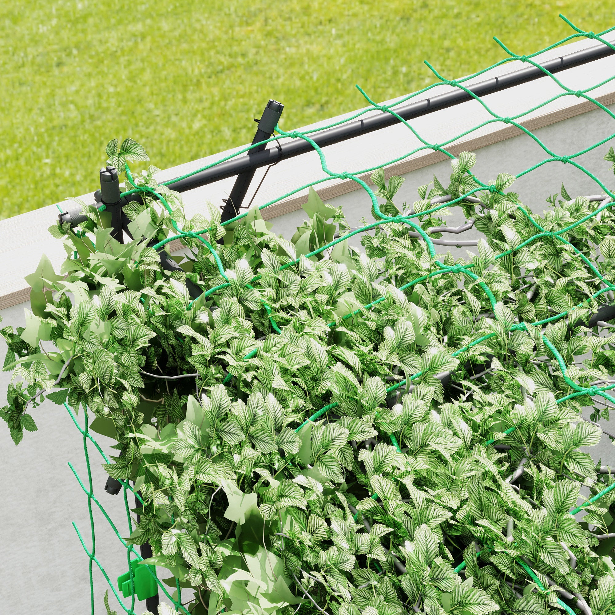 Garden Arch Trellis, 7.3 FT Tall Metal Plant Trellis Support with Climbing Net, Cucumber Trellis for Vegetables, Black