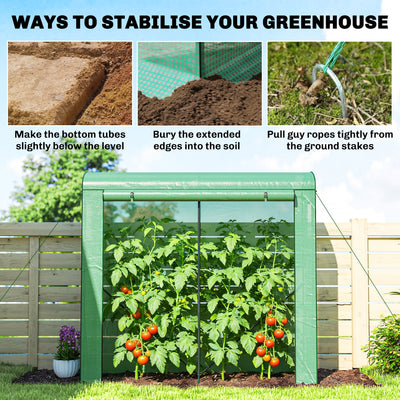 Mini Greenhouse, Portable Greenhouse with Roll-Up Door and 2 Mesh Windows, PE Cover, 78.7" x 29.5" x 74"