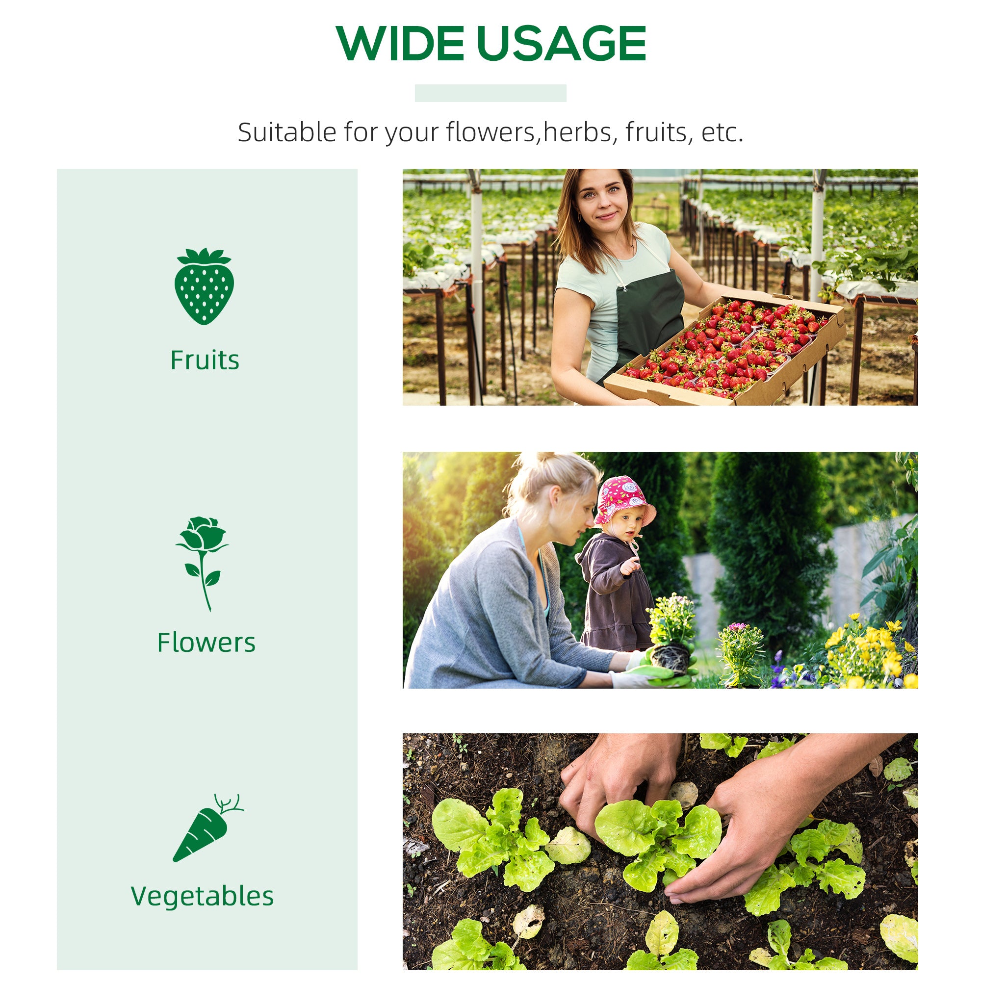 4' x 2' x 2' Portable Mini Greenhouse, Small Green House with PE Cover, Roll-up Zippered Windows for Indoor, Outdoor Garden, Green