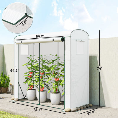 Mini Greenhouse, Portable Greenhouse with Roll-Up Door and 2 Mesh Windows, PE Cover, 78.7" x 29.5" x 74"
