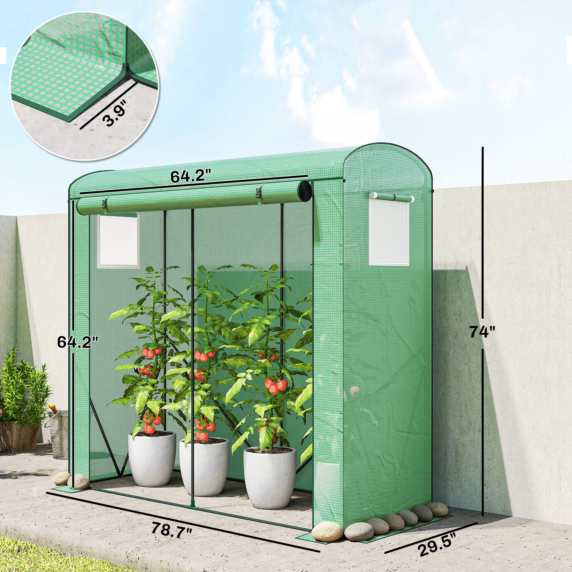 Mini Greenhouse, Portable Greenhouse with Roll-Up Door and 2 Mesh Windows, PE Cover, 78.7" x 29.5" x 74"
