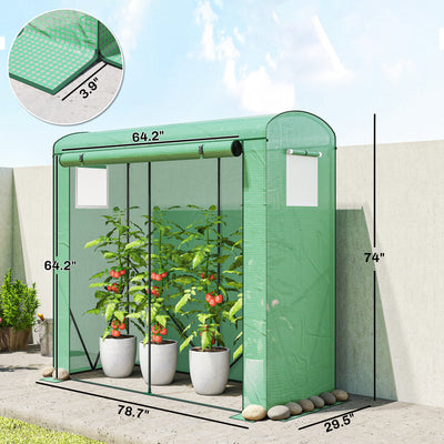 Mini Greenhouse, Portable Greenhouse with Roll-Up Door and 2 Mesh Windows, PE Cover, 78.7" x 29.5" x 74"