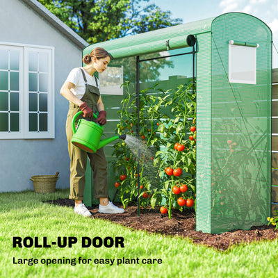 Mini Greenhouse, Portable Greenhouse with Roll-Up Door and 2 Mesh Windows, PE Cover, 78.7" x 29.5" x 74"