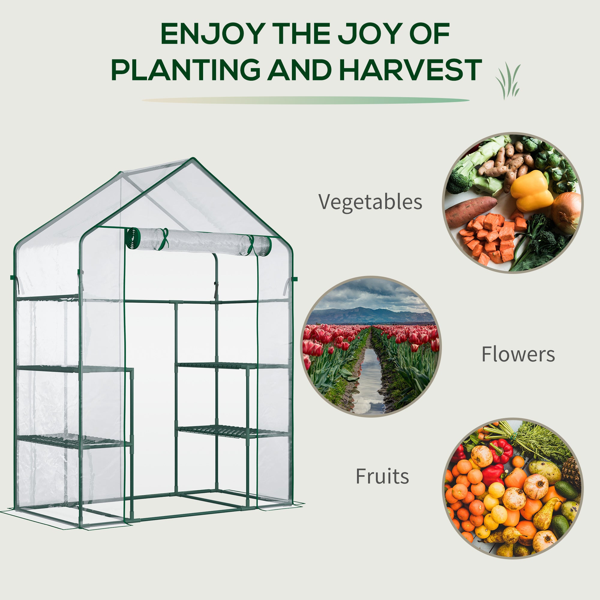 5' x 2.5' x 6.5' Mini Walk-in Greenhouse Kit, Portable Green House with 3 Tier Shelves, Roll-Up Door, and Weatherized Plastic Cover for Backyard Garden, Clear