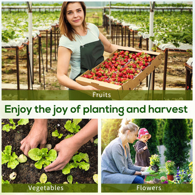 6' x 3' x 3' Mini Greenhouse with Zippered Doors & Roll-up Windows, Portable Plant Hot House with Durable PE Cover, Water Resistant, UV Protected for Outdoor Flowers, Vegetables, Green