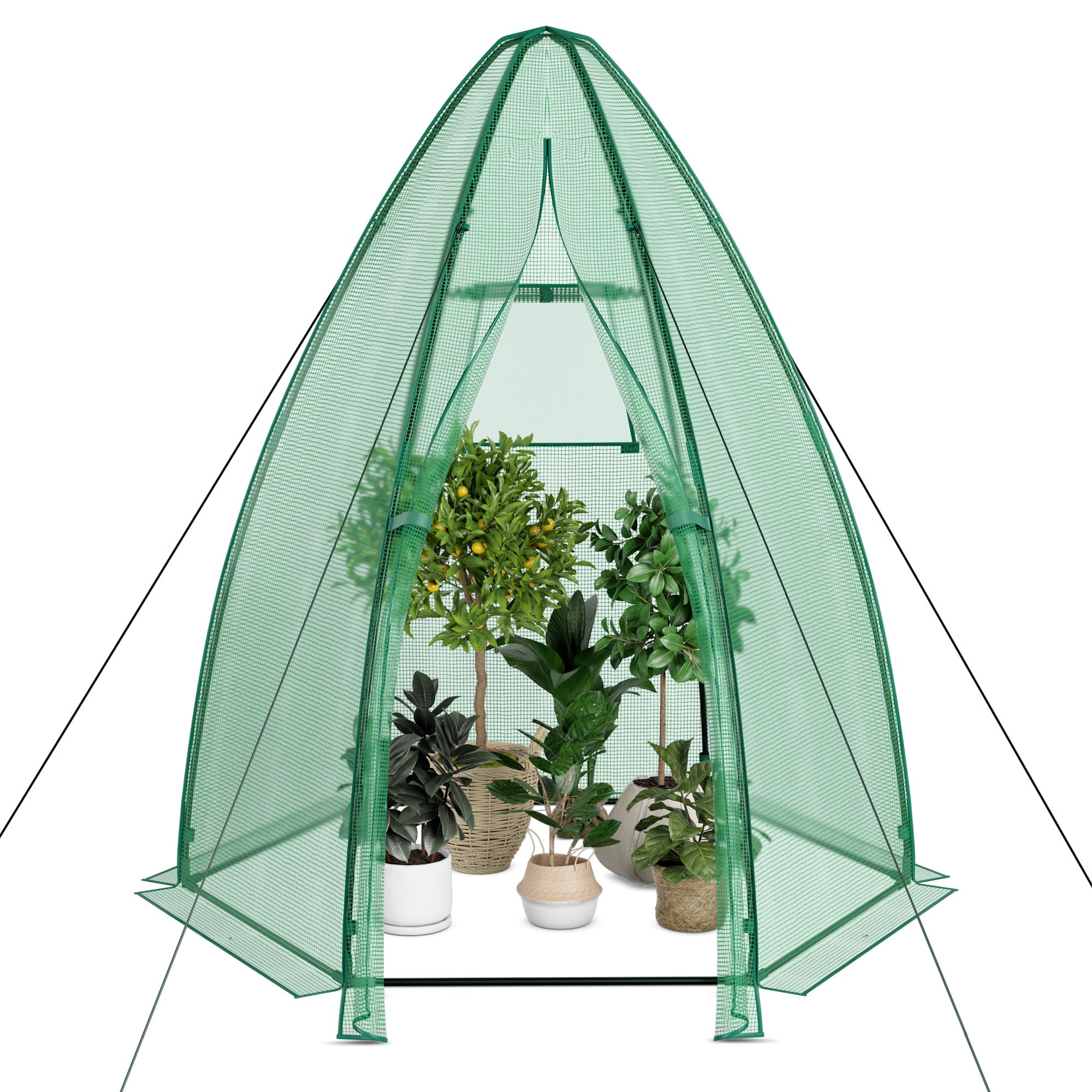 5.5 x 5.5 x 6 Feet Portable Mini Greenhouse with All-Weather PE Cover