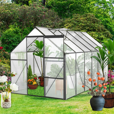Longmeadow 6×12 Walk-In Glasshouse