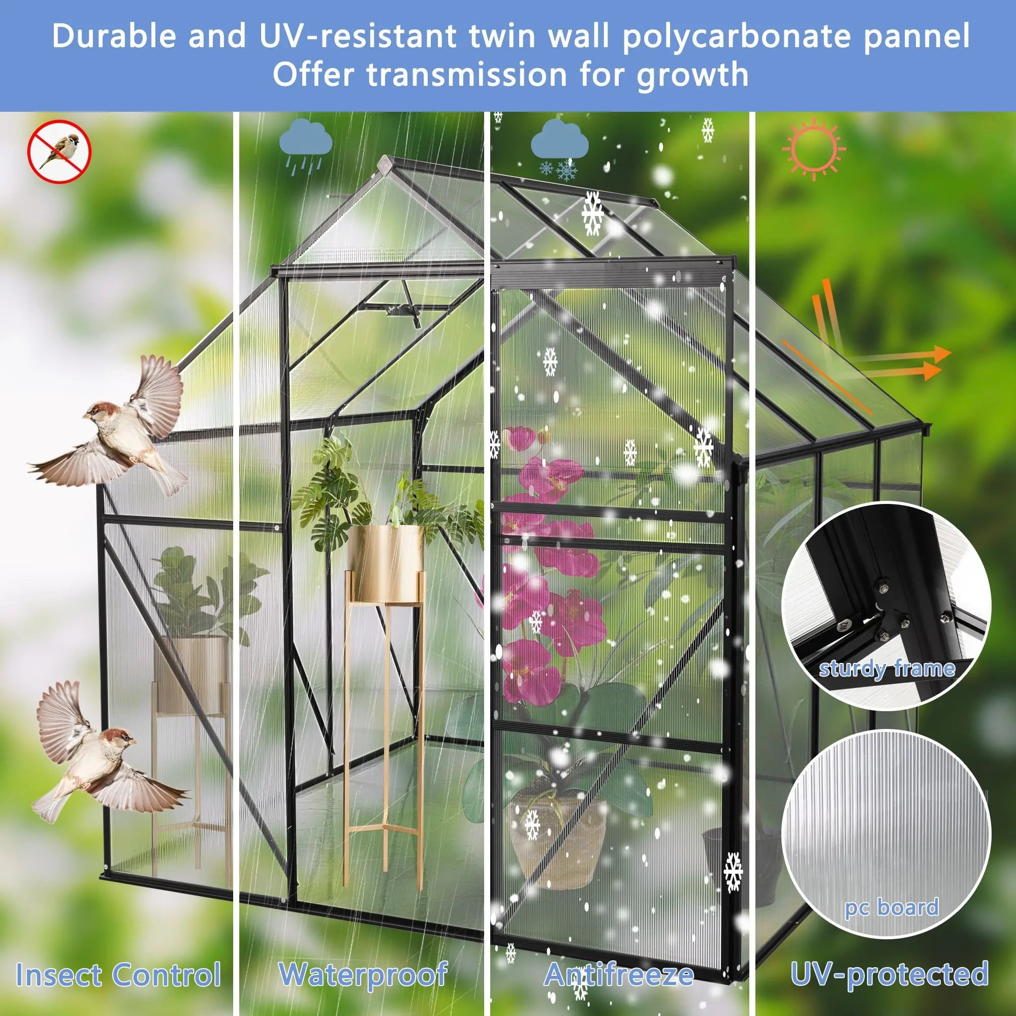 Sable Nook 6×6 Walk-In Glasshouse
