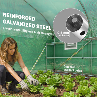 10'x11'x6' Walk-in Tunnel Greenhouse with Shelves, Mesh Door and Windows, Plant Hot House with PE Cover