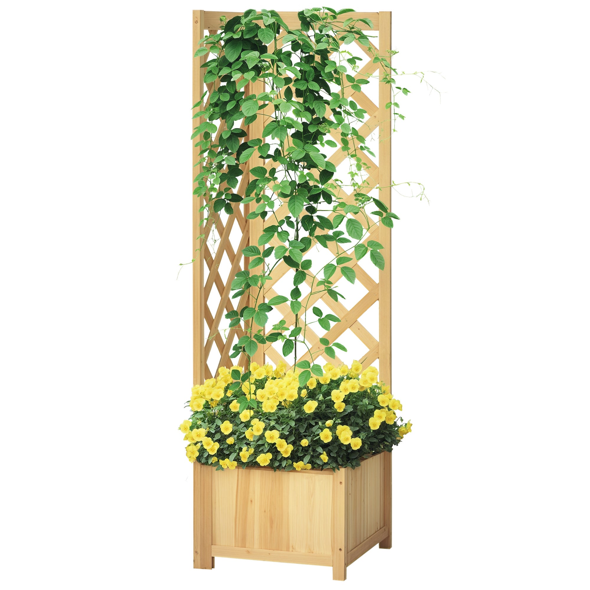 Wooden Raised Garden Bed, Planter with Trellis for Vine Climbing and Vegetables, Herbs and Flowers Growing