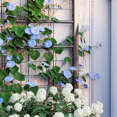 Outdoor Planter Box Galvanized Raised Garden Bed with Trellis for Climbing Vines, 35.4" x 15.7" x 47.2"
