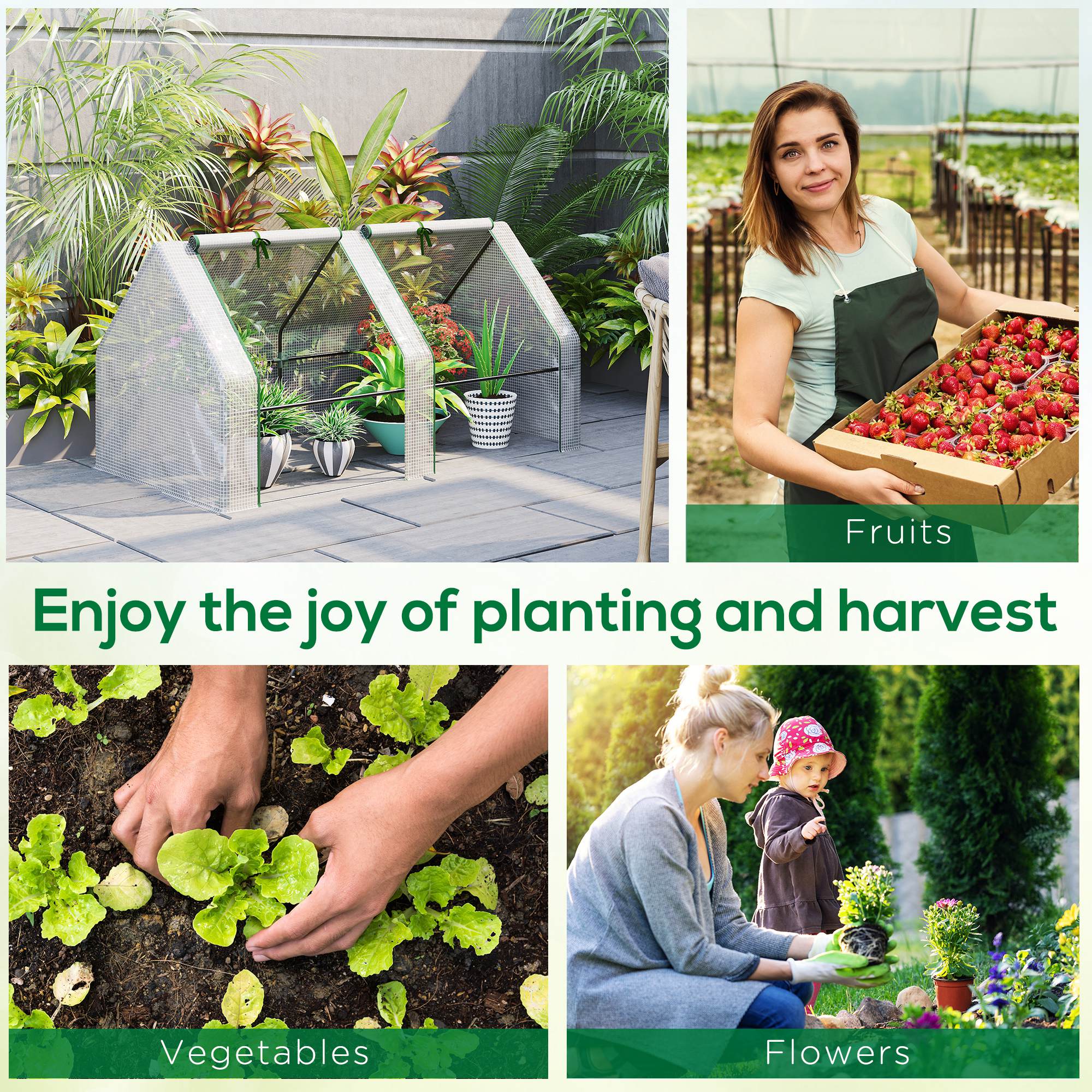 6' x 3' x 3' Mini Greenhouse with Zippered Doors & Roll-up Windows, Portable Plant Hot House with Durable PE Cover, Water Resistant, UV Protected for Outdoor Flowers, Vegetables, Green