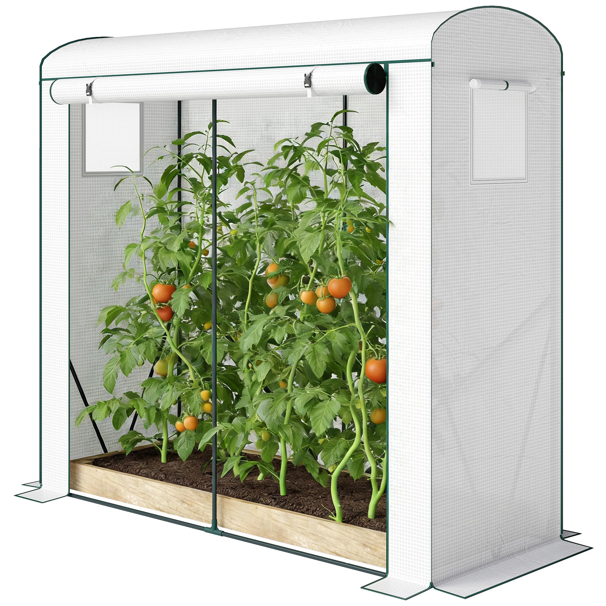 Mini Greenhouse, Portable Greenhouse with Roll-Up Door and 2 Mesh Windows, PE Cover, 78.7" x 29.5" x 74"