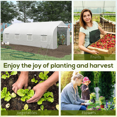 20' x 10' x 7' Walk-in Tunnel Greenhouse with Zippered Mesh Door and 8 Mesh Windows, Gardening Plant Hot House with Galvanized Steel Hoops