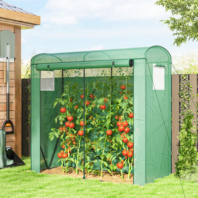 Mini Greenhouse, Portable Greenhouse with Roll-Up Door and 2 Mesh Windows, PE Cover, 78.7" x 29.5" x 74"