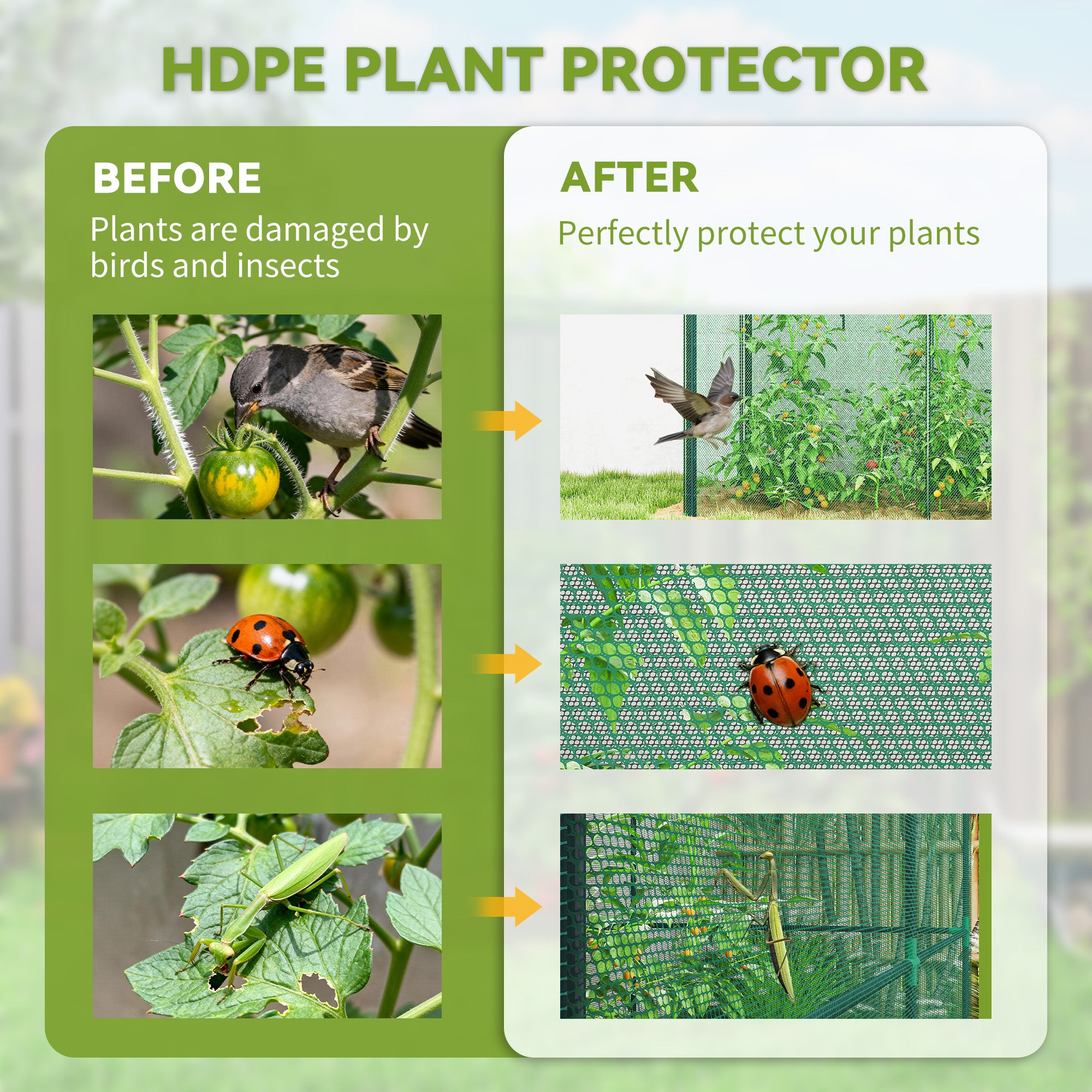 Crop Cage, 6' x 3' x 5' Large Plant Protection Tent with Zippered Door, Outdoor Garden Cage