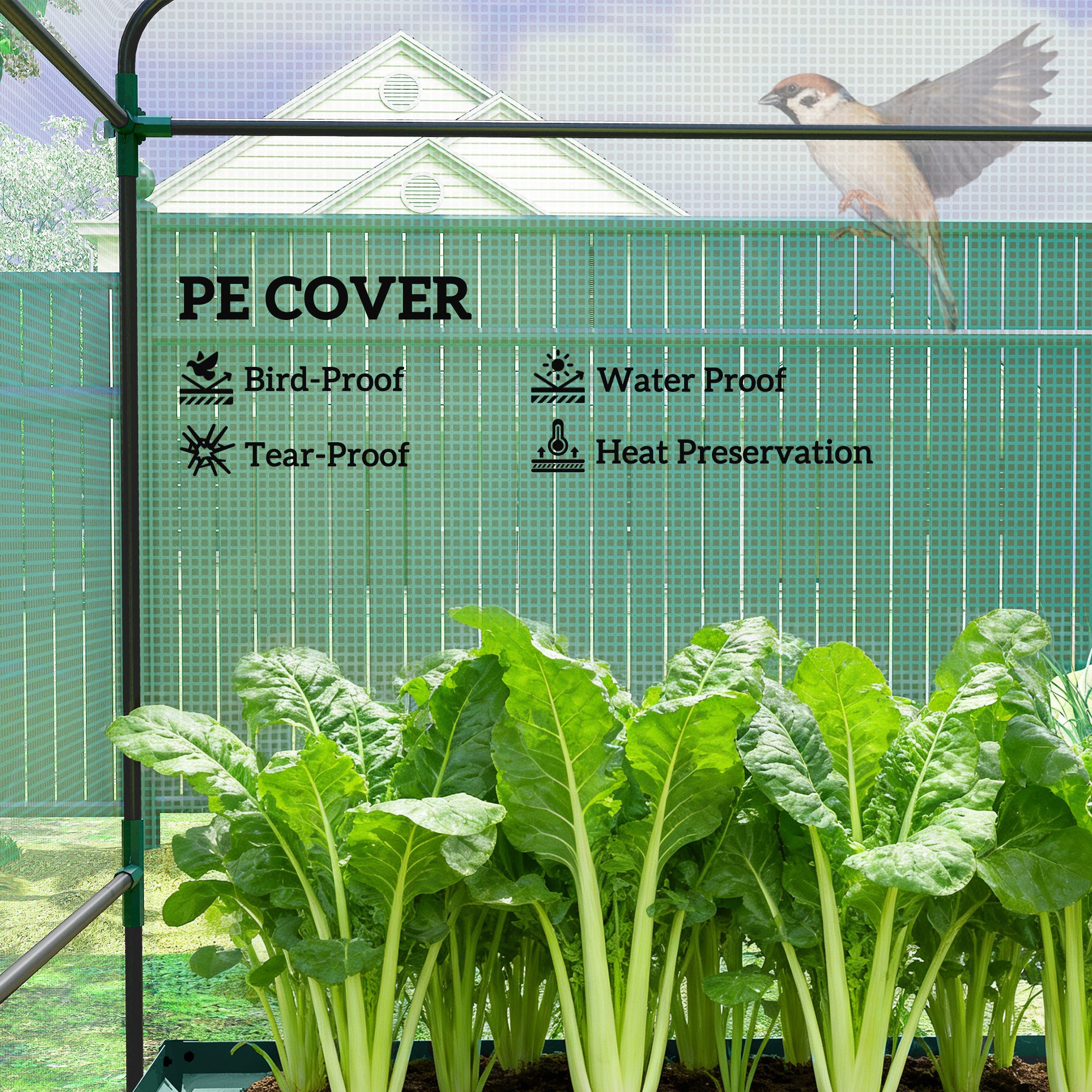 Greenhouse with Raised Garden Bed, Galvanized Steel Outdoor Greenhouse with Roll Up Door, 56" x 56" x 75"