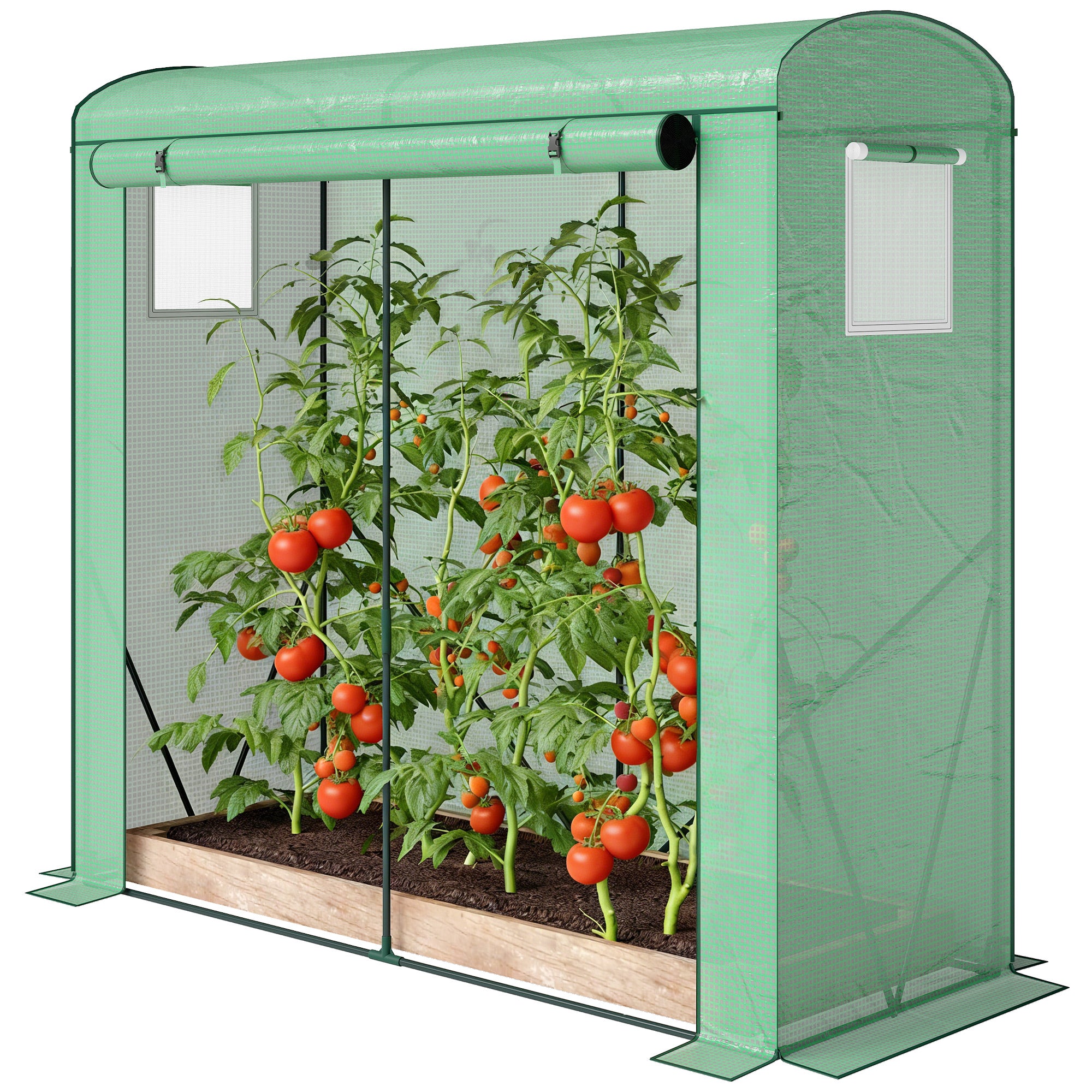 Mini Greenhouse, Portable Greenhouse with Roll-Up Door and 2 Mesh Windows, PE Cover, 78.7" x 29.5" x 74"